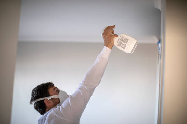 Best Residential Mold Removal  in Mango, FL