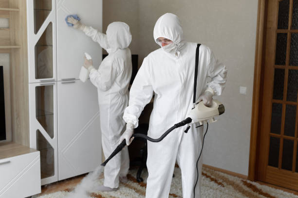 Best Professional Mold Removal  in Mango, FL