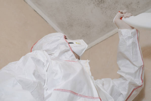 Best Mold Testing  in Mango, FL